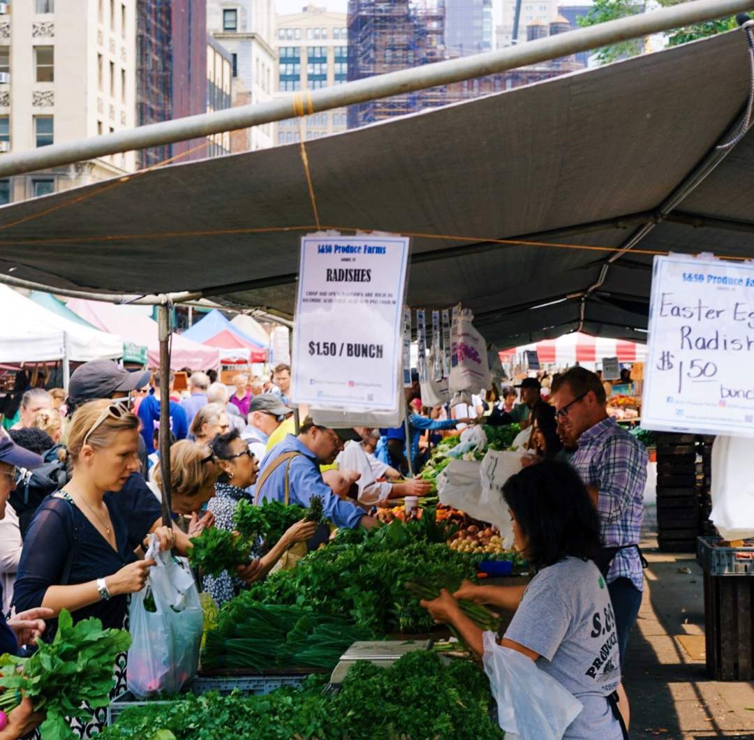 sustainability in New York