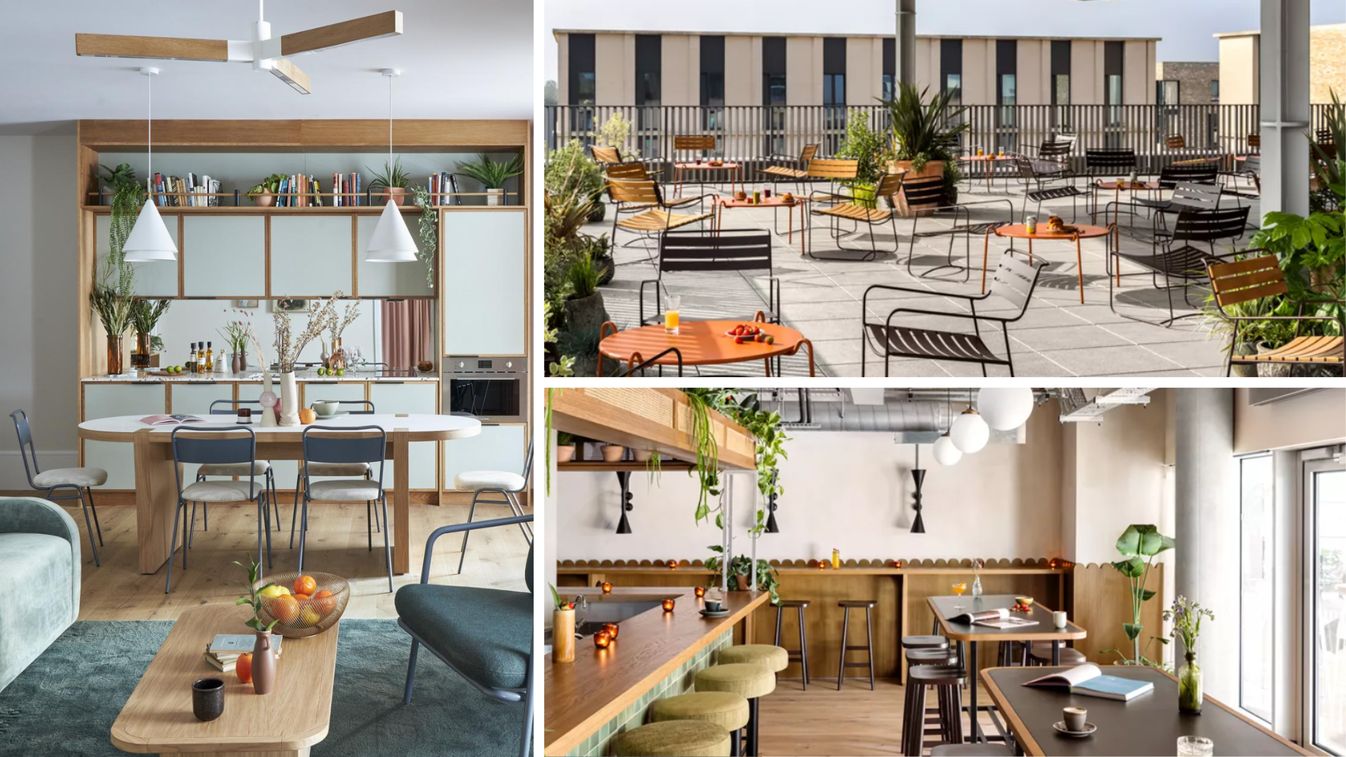 Collage of photos of apartment building with roof terrace and onsite bar