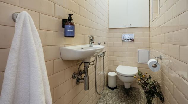 Bathroom at Moravska, Prague 2, Prague
